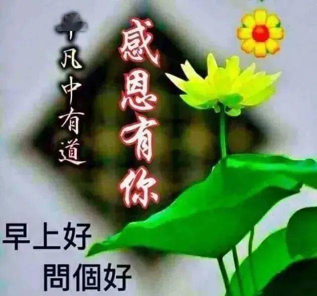唯美聊天送给朋友们