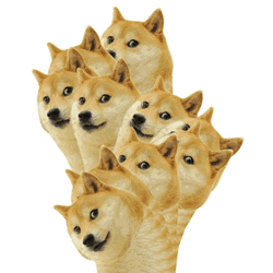 你还在等什么表情包图柴犬