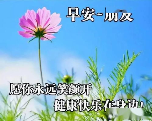 晨安图片,刚上传的早上好图片,适合发朋友圈的早安图片