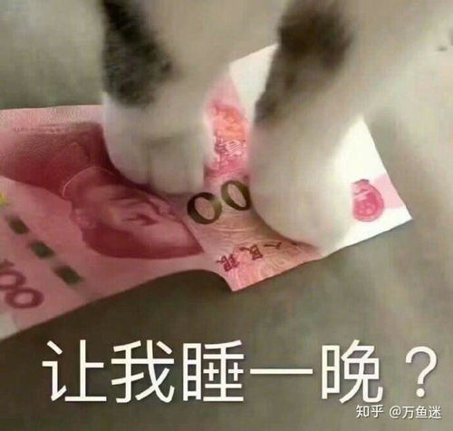 求和女朋友聊天的表情包