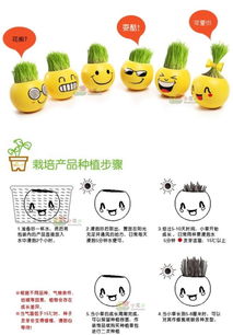 创意礼物qq可爱表情桌面种植防辐射小草创意新奇特别礼品浪漫实用