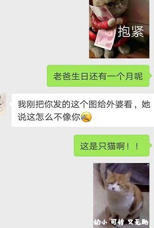父母们对表情包是如何理解的网友们晒出聊天截图,喜感十足