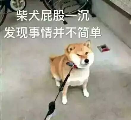第一次玩定向越野的新手,该怎么准备