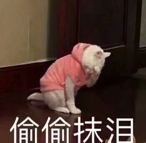 你被期考打醒了吗