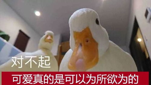常熟哪个镇的人最会骗细娘没想到竟然是这个镇