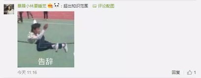 团团最有爱助攻︱情侣之间发什么表情包网友快马住,万一有对象了呢