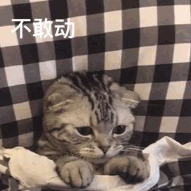 可爱沙雕表情包让我看看今天使点什么坏好呢