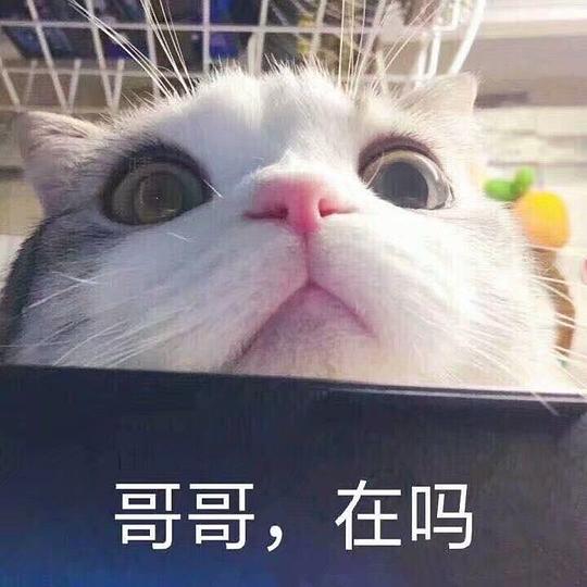 李嗲lydia的相册嗲嗲的表情包