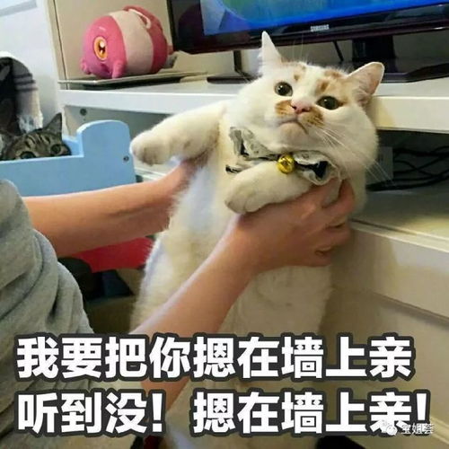 活动趁老板不在家,国庆放价还送礼小编好怕怕节后怕是要丢工作了