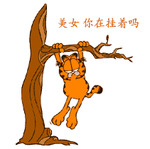 动态搞笑图片表情图片动态