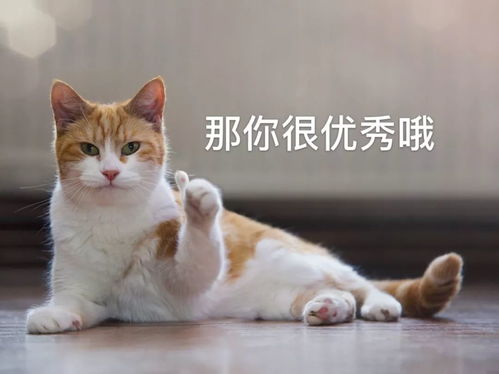这个flag特别好,不来立立看吗萌芽计划早鸟价最后10天