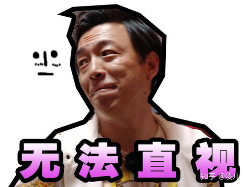 极限挑战有哪些经典的表情包