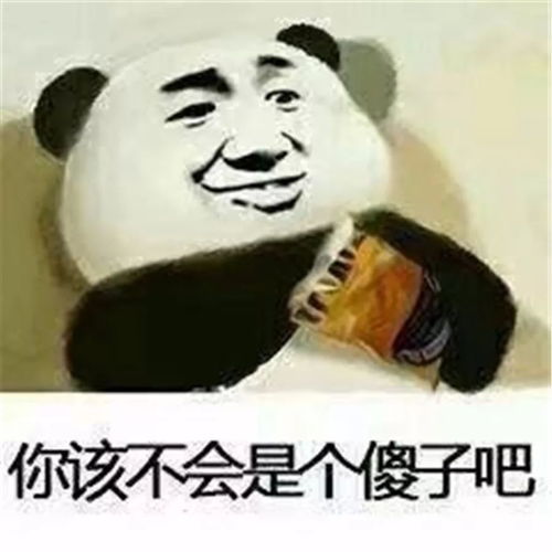 不笨不胖不懒的猪