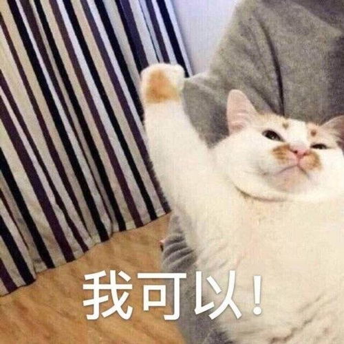 有没有的可爱表情包