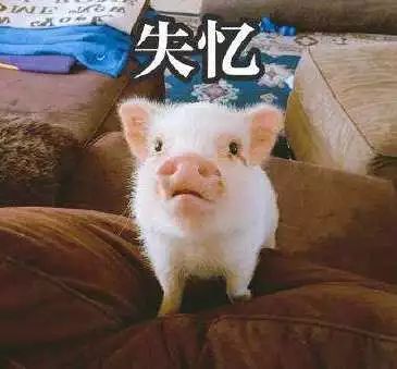 如何从细节上获得雅思口语考官的好感