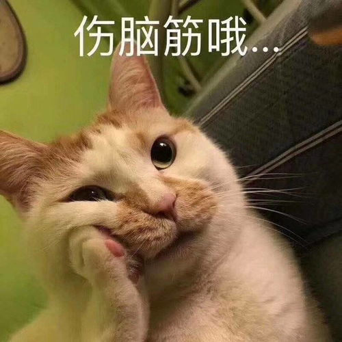 想知道顶流撕葱咋的了有无知道的可爱鹅告知