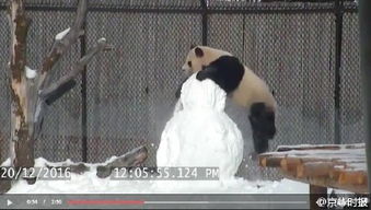 钢铁之眼倒映世界的温柔不为所见的景色