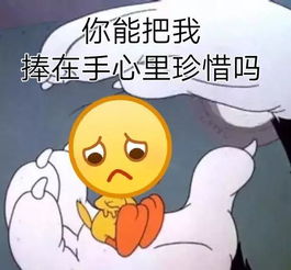 小米9认证曝光24w快充雷军的救命稻草
