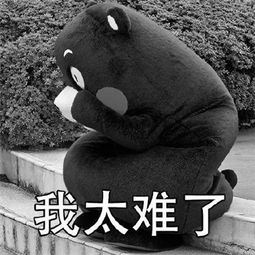 熊本熊我太难了表情包我太难了微信经典表情图片