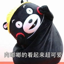 超喜欢胖乎乎的你表情包图片下载超喜欢胖乎乎的你表情包高清无水印极光下载站