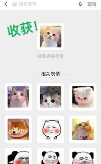 你不知道的微信冷知识表情包免费扩容