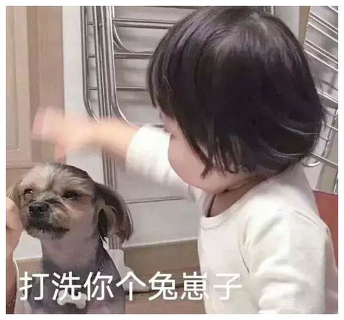 你表情包太多,不想和你聊了