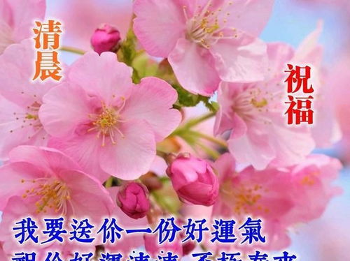 非常好看的早上好问候图片发朋友圈漂亮的早安祝福唯美图片