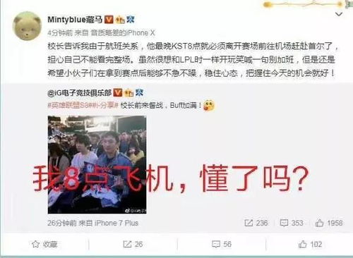 ig听说你们g2的中上很强