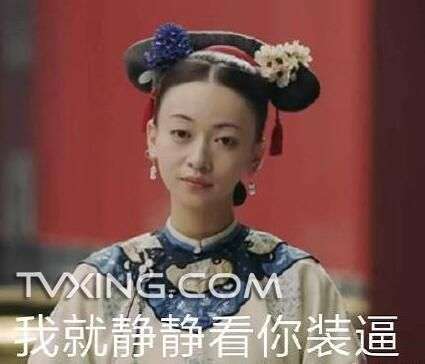 魏璎珞电话头表情包全套无水印