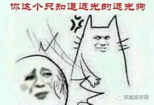全套小白人表情包名字