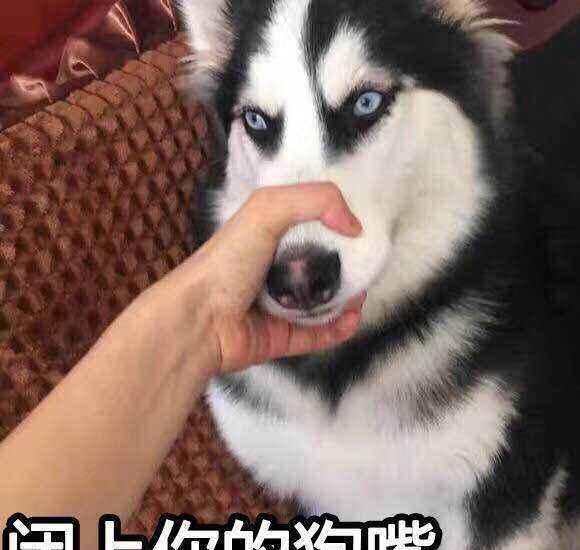 关系再好,也不要向别人透露自己这3个秘密,很愚蠢