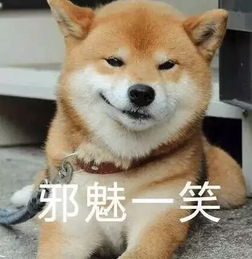忧伤上饶男子冒充妙龄女与五旬富商网恋,骗走300多万