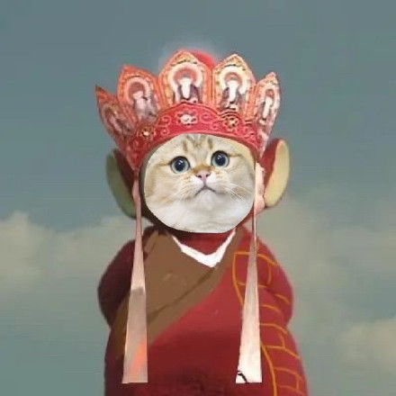 小猫咪版天线宝宝西游记表情包