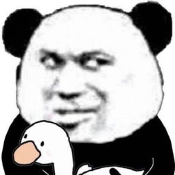 熊猫心跳的表情包头像