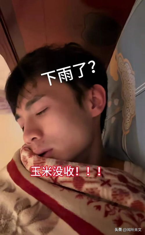 笑拥了,当需要在家看晒玉米,不是睡觉就是下雨,简直不要太形象