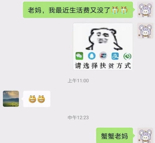 大学生要钱表情包走红,每个学生有n种,父母应对方式很机智