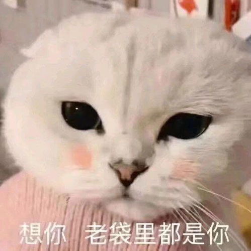 表情包想你想你,脑袋里都是你