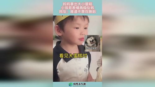 妈妈拿出大小蛋糕,小孩哥表情两极反转,网友难道不是双胞胎