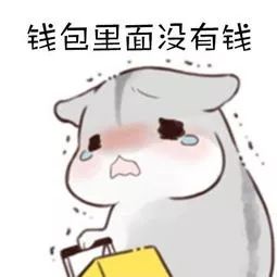 惯犯柳州美女打车没带现金,微信支付手机没电,还惊动民警