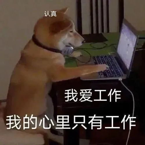 来法国的小酒馆喝一杯,这些黑话你知道吗