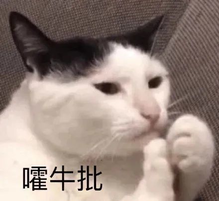 斗图表情包大小姐驾到,通通闪开
