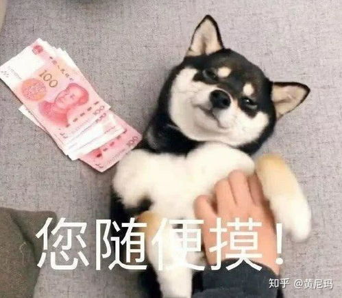 你有哪些骚到爆的表情包,斗图能把对面笑死的那种