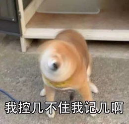 9月,我想和你看场电影小编都准备好了,你还不来约
