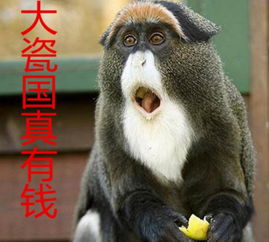 科技乱谈琴苹果全靠中国诺基亚不来了