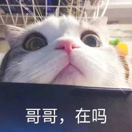 我在等你给我买奶茶