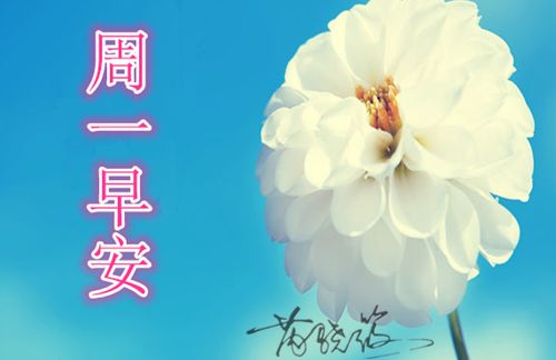 早安表情包可爱沙雕早安心语