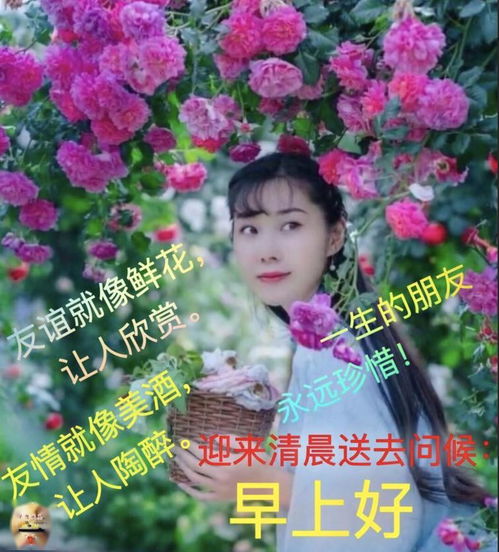 非常漂亮的美女早上好问候表情图片