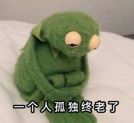 这个冬天,你还是一个人过吗