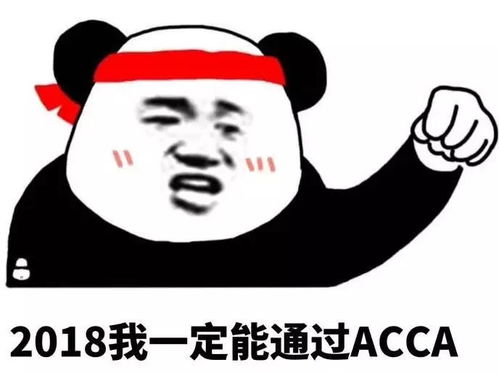 寒假备考acca没动力那是因为你没有这些表情包内含新年福利