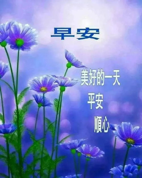 最新漂亮春日早上好鲜花图片带字春天最美风景早安图片带祝福语
